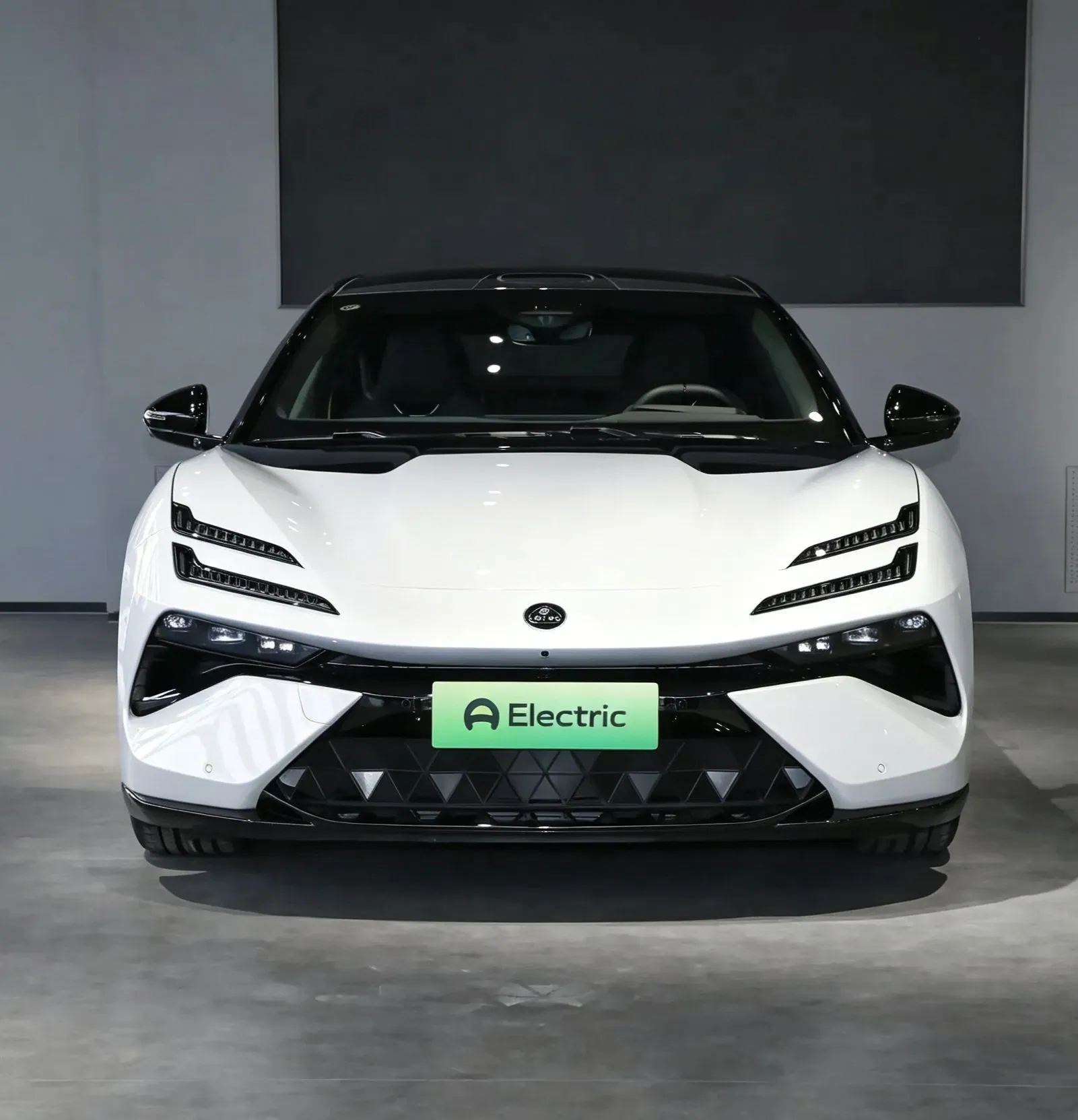 imgi_39_Lotus-Emeya-600se-Ultimate-Electric-Car-with-Ternary-Lithium-Battery Lotus Emeya 600se Ultimate Electric Car - Image 1
