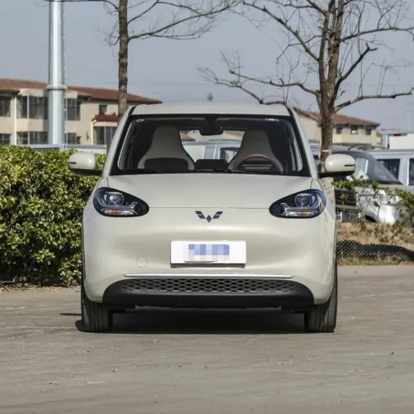 2026 Wuling Bingo Electric 430km Car