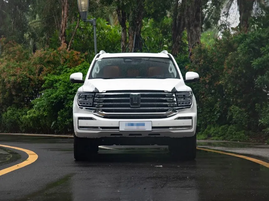 imgi_73_Gwm-Tank-500-Hi4-T-Standard-Editio 2026 Luxury Great Wall Tank 500 Hi4-T 360PS New Electric Hybrid Multi-Function Automatic SUV - Image 1