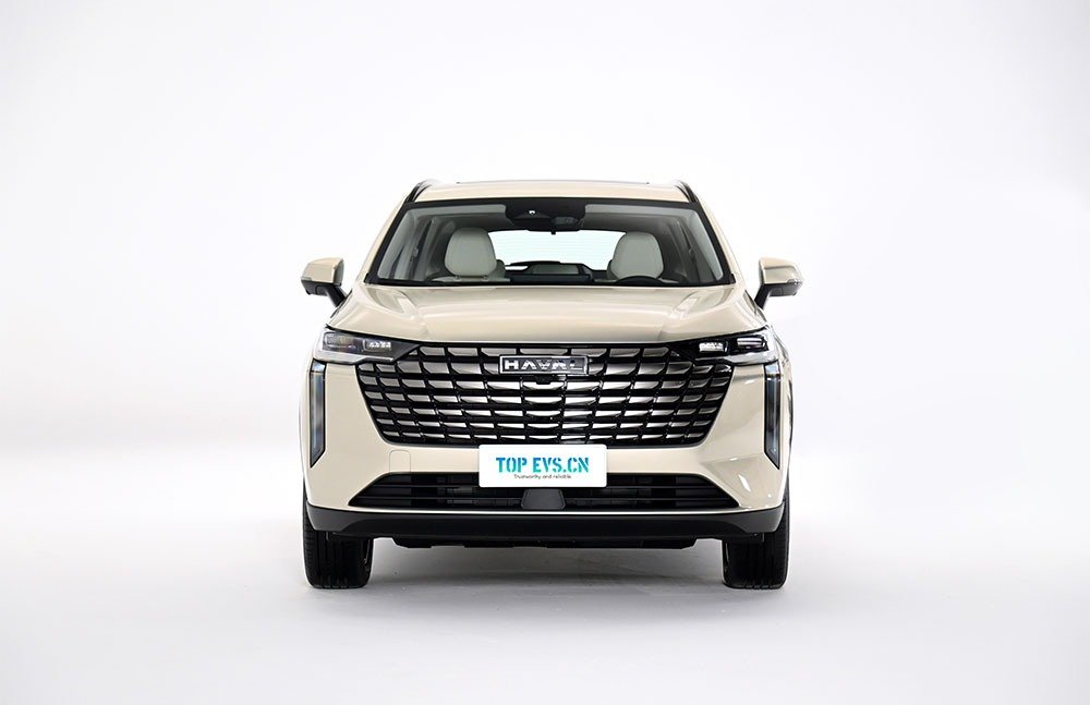 imgi_3_1_3(10) GWM Haval H6 - Image 1