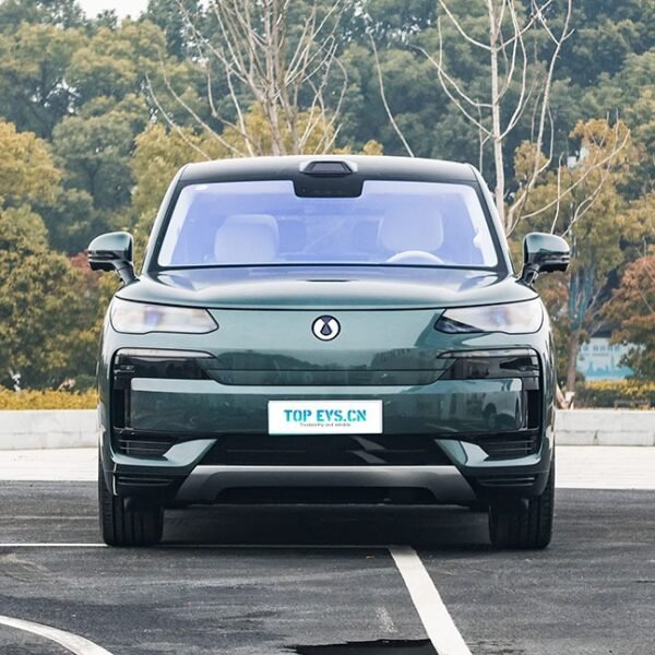 Denza N9 DM 2026
