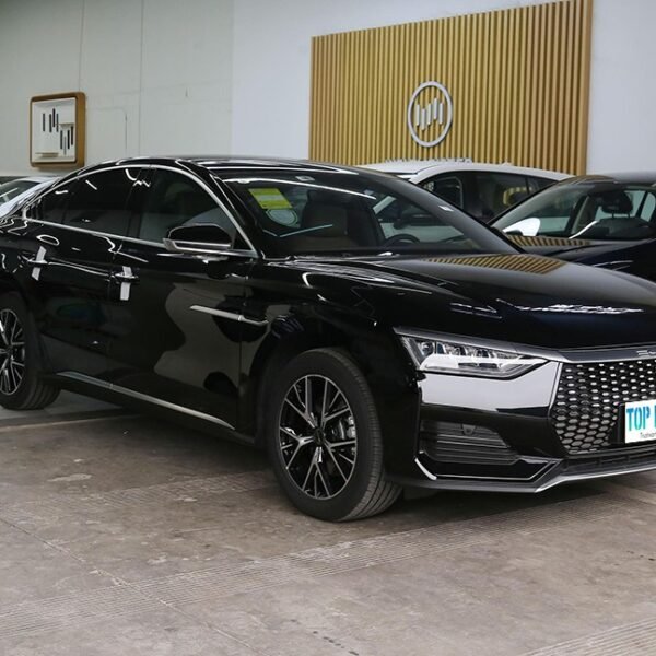 BYD E9