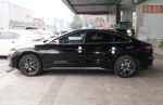 BYD E9 - Image 4