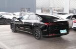 BYD E9 - Image 3